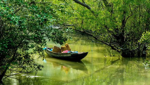 sundarban tour packages